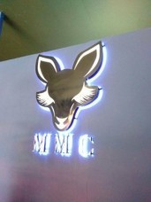 ไฟออกหลัง